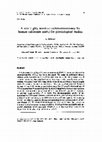 Research paper thumbnail of A new highly sensitive radioimmunoassay for human calcitonin useful for physiological studies