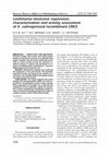 Research paper thumbnail of Leishmania mexicana: expression; characterization and activity assessment of E. coli-expressed recombinant CRK3