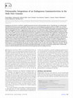 Research paper thumbnail of Polymorphic Integrations of an Endogenous Gammaretrovirus in the Mule Deer Genome