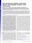 Research paper thumbnail of Polar and brown bear genomes reveal ancient admixture and demographic footprints of past climate change