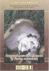 Research paper thumbnail of Hygrophorus de Albacete ( y áreas próximas)