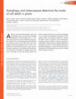 Research paper thumbnail of Autophagy and metacaspase determine the mode of cell death in plants