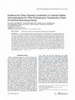 Research paper thumbnail of Evidence for ciliary pigment localization in colored ciliates and implications for their photosensory transduction chain: A confocal microscopy study