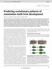 Research paper thumbnail of Predicting evolutionary patterns of mammalian teeth from development