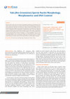 Research paper thumbnail of Yak (Bos Grunniens) Sperm Nuclei Morphology, Morphometry and DNA Content