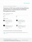 Research paper thumbnail of VARIATIONS OF PSP TOXIN PROFILES DURING DIFFERENT GROWTH PHASES IN GYMNODINIUM CATENATUM (DINOPHYCEAE) STRAINS ISOLATED FROM …