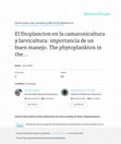 Research paper thumbnail of El fitoplancton en la camaronicultura y larvicultura: importancia de un buen manejo