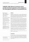 Research paper thumbnail of CHM/REP1 cDNA delivery by lentiviral vectors provides functional expression of the transgene in the retinal pigment epithelium of choroideremia mice