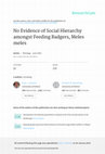 Research paper thumbnail of No evidence of social hierarchy amongst feeding badgers, Meles meles