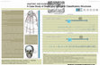 Research paper thumbnail of Anatomy and Eugenics: Case Study of Change and Stasis in Classificatory Structures