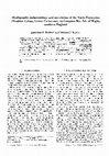 Research paper thumbnail of Stratigraphy, palaeontology and correlation of the Vectis Formation (Wealden Group, Lower Cretaceous) at Compton Bay, Isle of Wight, southern England