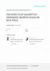 Research paper thumbnail of The effects of salinity at different growth stage on rice yield