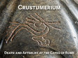 Research paper thumbnail of Crustumerium: Death and Afterlife at the Gates of Rome