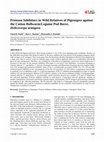 Research paper thumbnail of Protease Inhibitors in Wild Relatives of Pigeonpea against the Cotton Bollworm/Legume Pod Borer, &lt;i&gt;Helicoverpa armigera&lt;/i&gt