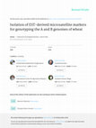 Research paper thumbnail of Isolation of EST-derived microsatellite markers for genotyping the A and B genomes of wheat