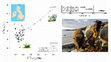 Research paper thumbnail of Further isotopic evidence for seaweed-eating sheep from Neolithic Orkney