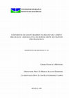 Research paper thumbnail of UNIVERSIDADE DE BRASÍLIA INSTITUTO DE GEOCIÊNCIAS FOSFORITOS DO GRUPO BAMBUÍ NA REGIÃO DE CAMPOS BELOS (GO) / ARRAIAS (TO), NA BORDA OESTE DO CRÁTON SÃO FRANCISCO