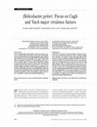 Research paper thumbnail of Helicobacter pylori: focus on CagA and VacA major virulence factors