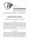 Research paper thumbnail of Entomofauna A contribution to the fauna of cuckoo wasps (Hymenoptera, Chrysididae) in southern Iran