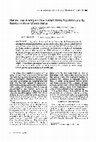 Research paper thumbnail of Stature Loss Among An Older United States Population and Its Relation to Bone Mineral Status