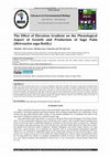 Research paper thumbnail of The Effect of Elevation Gradient on the Phenological Aspect of Growth and Production of Sago Palm (Metroxylon sagu Rottb