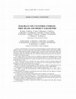 Research paper thumbnail of DC-60 heavy ion cyclotron complex: The first beams and project parameters