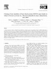 Research paper thumbnail of Cloning of new members of heat shock protein HSP101 gene family in wheat (Triticum aestivum (L.) Moench) inducible by heat, dehydration, and ABA