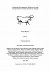 Research paper thumbnail of Scenario approach - WP12 final report of the project LACOPE: Landscape Development, Biodiversity and Co-operative Livestock Systems in Europe