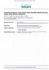 Research paper thumbnail of Learning outdoors: male lizards show flexible spatial learning under semi-natural conditions