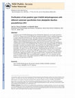 Research paper thumbnail of Purification of two putative type II NADH dehydrogenases with different substrate specificities from alkaliphilic Bacillus pseudofirmus OF4