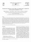 Research paper thumbnail of Nonneuronal expression of the GABAA β3 subunit gene is required for normal palate development in mice