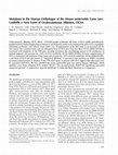 Research paper thumbnail of Mutations in the Human Orthologue of the Mouse underwhite Gene (uw) Underlie a New Form of Oculocutaneous Albinism, OCA4