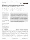 Research paper thumbnail of Morphological controls on the dynamics of carbonate landscapes under mediterranean climate  -Terra Nova, 2017-