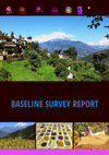 Research paper thumbnail of BASELINE SURVEY REPORT