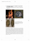 Research paper thumbnail of Cultivating societies: new insights into agriculture in Neolithic Ireland