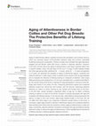 Research paper thumbnail of Aging of Attentiveness in Border Collies and Other Pet Dog Breeds: The Protective Benefits of Lifelong Training