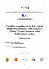 Research paper thumbnail of The lithic assemblage of the US 13 at the Middle Paleolithic site of Oscurusciuto (Ginosa, Taranto, Southern Italy): Technological studies