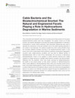 Research paper thumbnail of Cable Bacteria and the Bioelectrochemical Snorkel: The Natural and Engineered Facets Playing a Role in Hydrocarbons Degradation in Marine Sediments (Bruna Matturro, Carolina Cruz Viggi, Federico Aulenta and Simona Rossetti) —> Please cite this article as Matturro et al., 2017