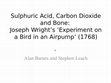 Research paper thumbnail of Sulphuric Acid, Carbon Dioxide and Bone: Joseph Wright's 'Experiment on a Bird in an Airpump'