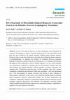 Research paper thumbnail of RNA-Seq Study of Microbially Induced Hemocyte Transcripts from Larval Heliothis virescens (Lepidoptera: Noctuidae)