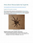 Research paper thumbnail of What a Brown Recluse Spider Has Taught Me