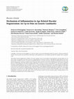 Research paper thumbnail of Mechanism of Inflammation in Age-Related Macular Degeneration: An Up-to-Date on Genetic Landmarks