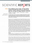 Research paper thumbnail of Quantifying barcodes of dendritic spines using entropy-based metrics