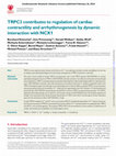 Research paper thumbnail of TRPC3 contributes to regulation of cardiac contractility and arrhythmogenesis by dynamic interaction with NCX1