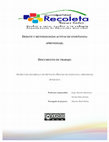 Research paper thumbnail of Bosquejo. Proceso de enseñanza aprendizaje. Recoleta 2017. Matriz de proyecto..pdf