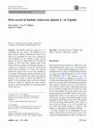 Research paper thumbnail of First record of baobab (Adansonia digitata L.) in Uganda