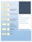 Research paper thumbnail of The Phenomenological Theories about Martensite Transformation