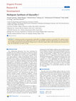 Research paper thumbnail of Multigram Synthesis of Glyceollin I