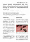 Research paper thumbnail of Primer registro documentado del Pato Silbón de Cara Blanca (Dendrocygna viduata) después de 100 años en el departamento de Lima, Perú