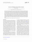 Research paper thumbnail of Towards new Mediapolis: networks, identities, and agents